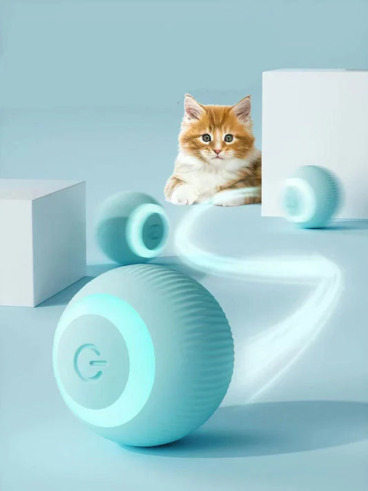 Teal Pets  Interactive Ball